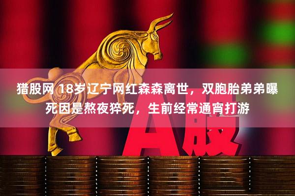 猎股网 18岁辽宁网红森森离世，双胞胎弟弟曝死因是熬夜猝死，生前经常通宵打游