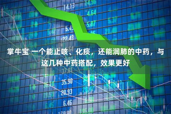 掌牛宝 一个能止咳、化痰，还能润肺的中药，与这几种中药搭配，效果更好