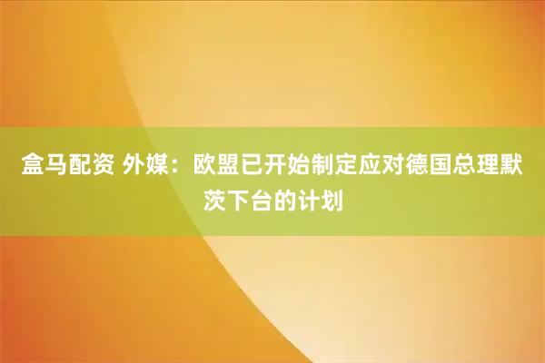 盒马配资 外媒：欧盟已开始制定应对德国总理默茨下台的计划