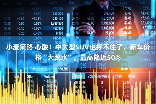 小麦策略 心酸！中大型SUV也撑不住了，新车价格“大跳水”，最高降近50%